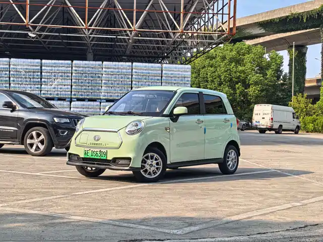 Lingbao Auto Lingbao BOX 2022 Cai Wenji Edition