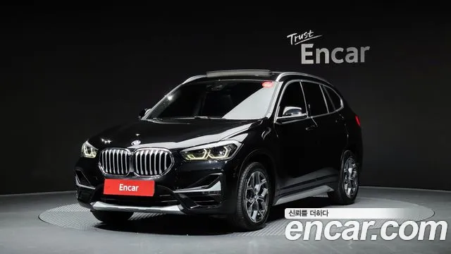 BMW X1 (F48) xDrive 20i xLine