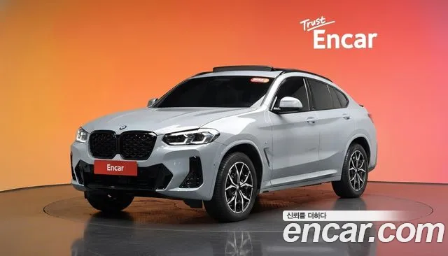 BMW X4 (G02) xDrive 20d M