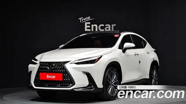 Lexus NX350h 2