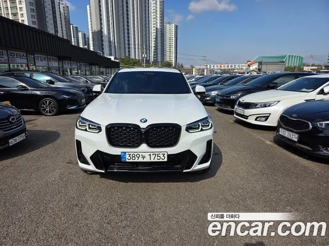 BMW X4 (G02) xDrive20i M