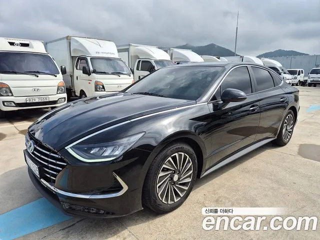 Hyundai Sonata Hybrid (DN8) Premium