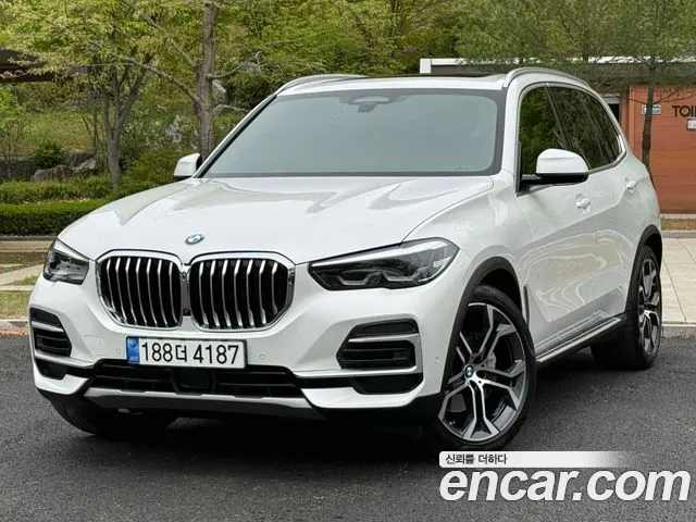 BMW X5 (G05) xDrive 30d xLine