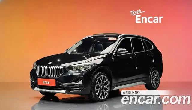 BMW X1 (F48) xDrive 20i xLine