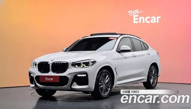BMW X4 (G02) xDrive20d M