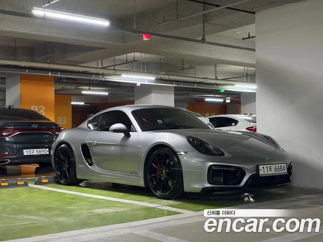 Porsche 3.4 GTS 981C