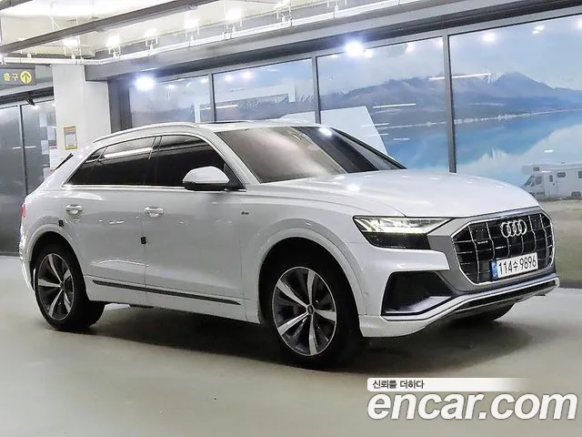 Audi Q8 (4M) 50 TDI Premium