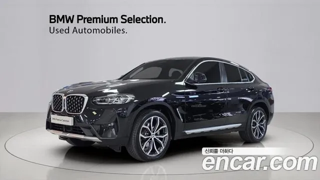BMW X4 (G02) xDrive20i xLine