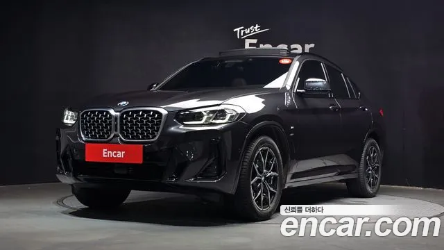 BMW X4 (G02) xDrive20i M