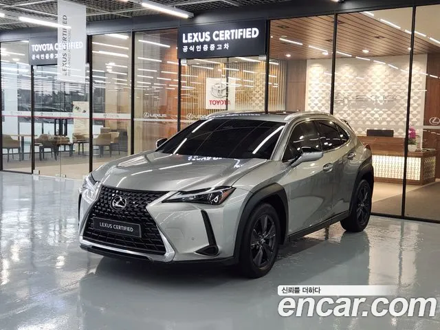 Lexus UX300h 2.0 2WD