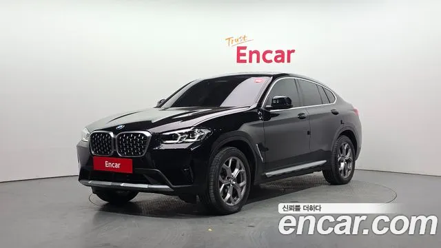 BMW X4 (G02) xDrive20d xLine