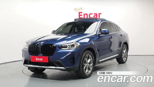 BMW X4 (G02) xDrive20i xLine