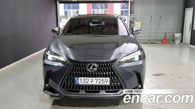 Lexus NX350h 2 Premium
