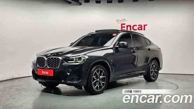 BMW X4 (G02) xDrive20i M