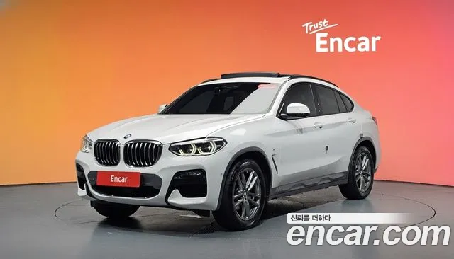 BMW X4 (G02) xDrive20i M X