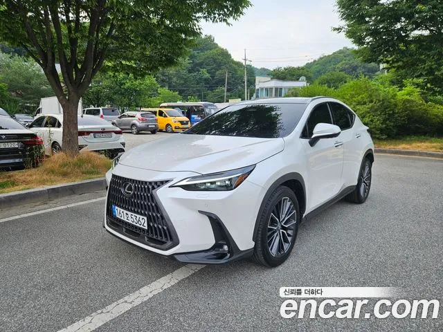 Lexus NX350h 2