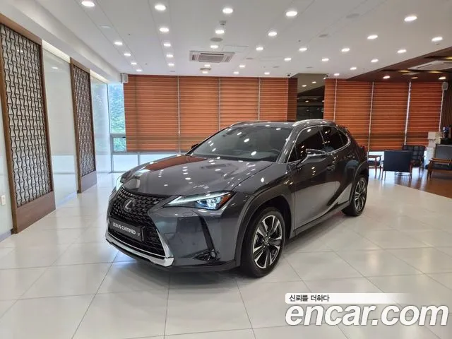 Lexus UX250h 2.0 AWD