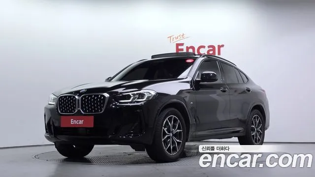 BMW X4 (G02) xDrive20i M