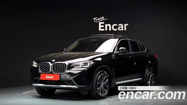 BMW X4 (G02) xDrive20i xLine