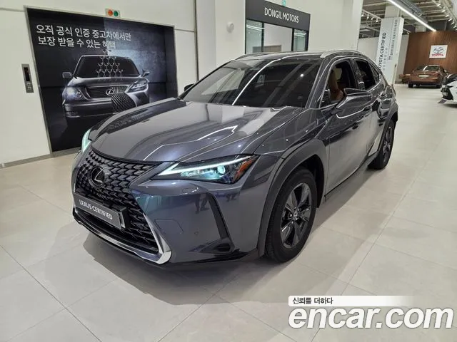 Lexus UX300h 2.0 2WD