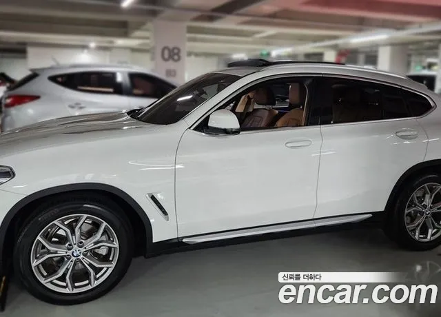 BMW X4 (G02) xDrive20i xLine