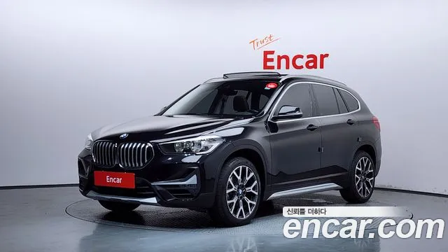 BMW X1 (F48) xDrive 20i xLine