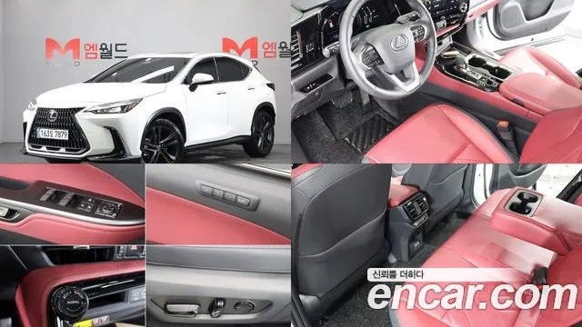 Lexus NX350h 2 Premium