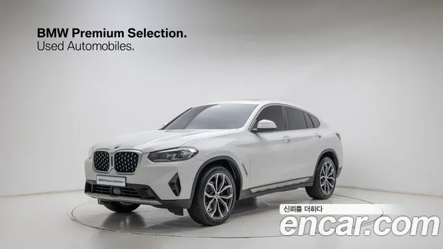 BMW X4 (G02) xDrive20i xLine