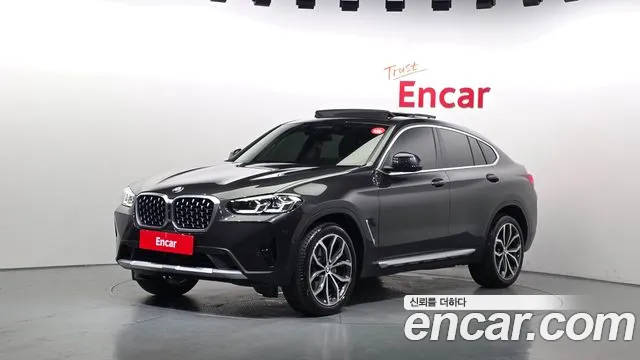 BMW X4 (G02) xDrive20i xLine