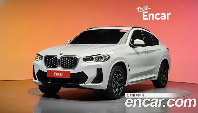 BMW X4 (G02) xDrive20i M