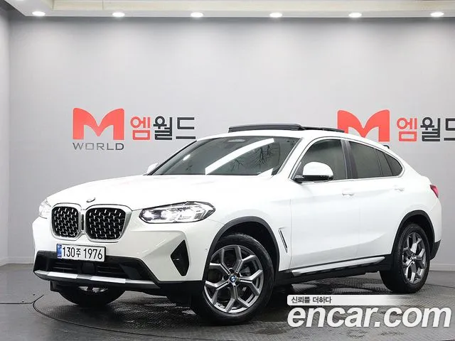 BMW X4 (G02) xDrive20i xLine