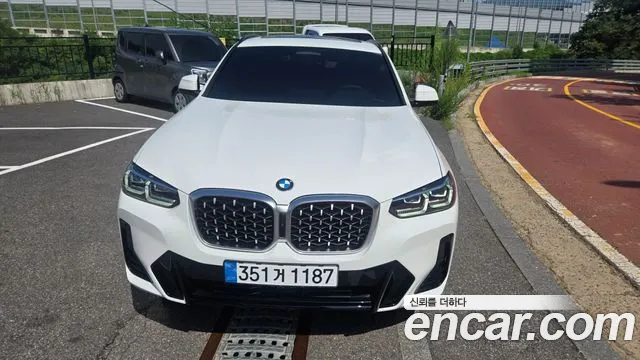 BMW X4 (G02) xDrive20d M