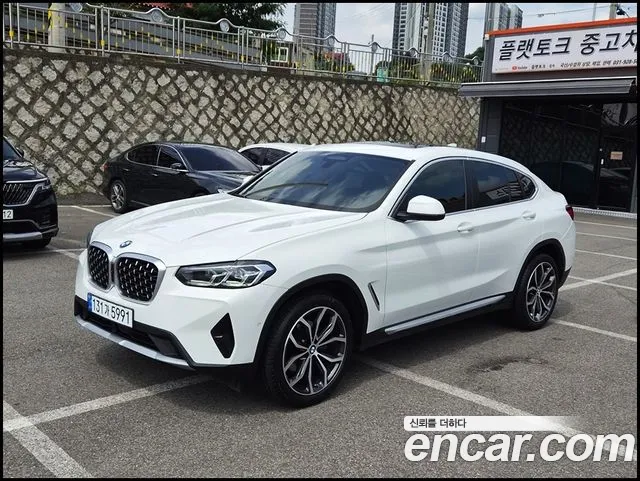 BMW X4 (G02) xDrive20i xLine