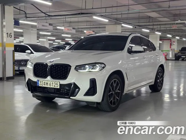 BMW X4 (G02) xDrive20i M