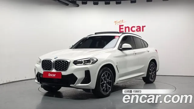 BMW X4 (G02) xDrive20i M