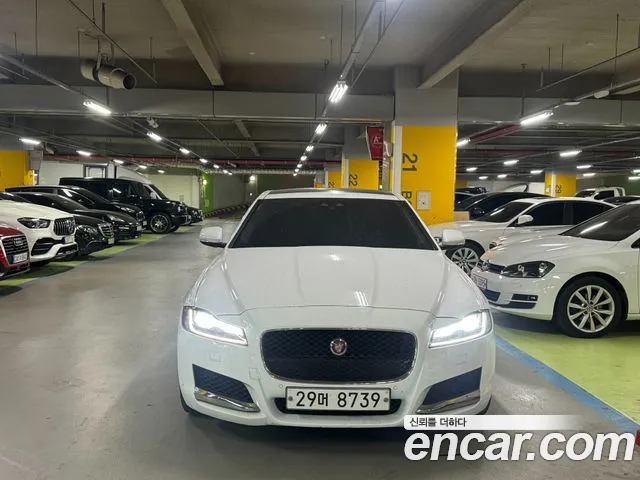 Jaguar XF (X260) 25t