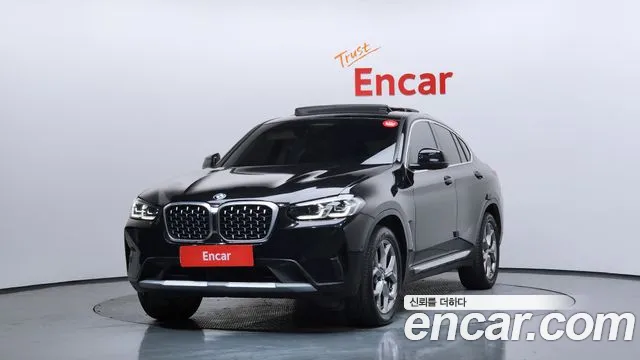 BMW X4 (G02) xDrive20d xLine