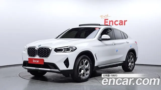 BMW X4 (G02) xDrive20i xLine