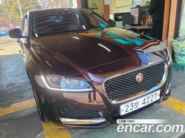 Jaguar XF (X260) 20d Prestige