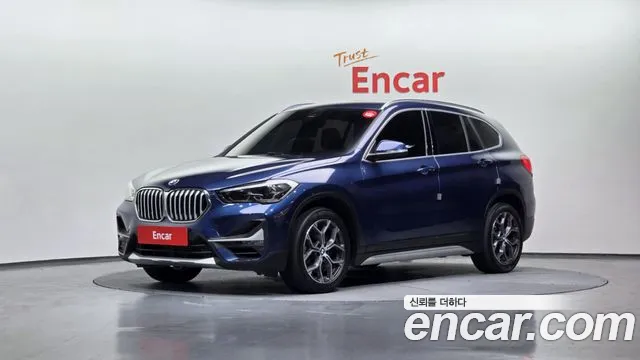 BMW X1 (F48) xDrive 20i xLine