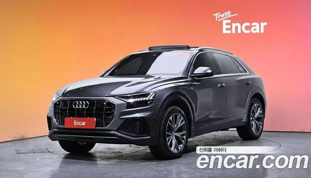 Audi Q8 (4M) 50 TDI Premium