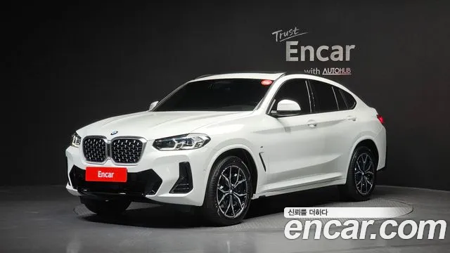 BMW X4 (G02) xDrive20i M