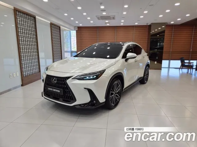 Lexus NX350h 2