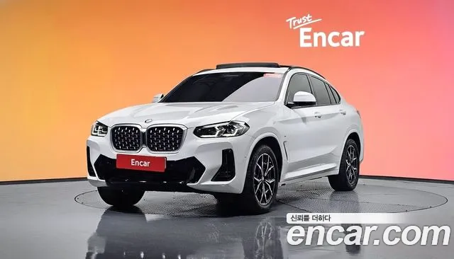BMW X4 (G02) xDrive20i M