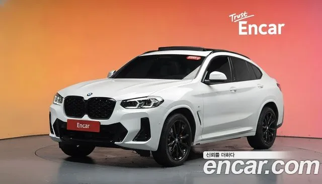 BMW X4 (G02) xDrive20i M