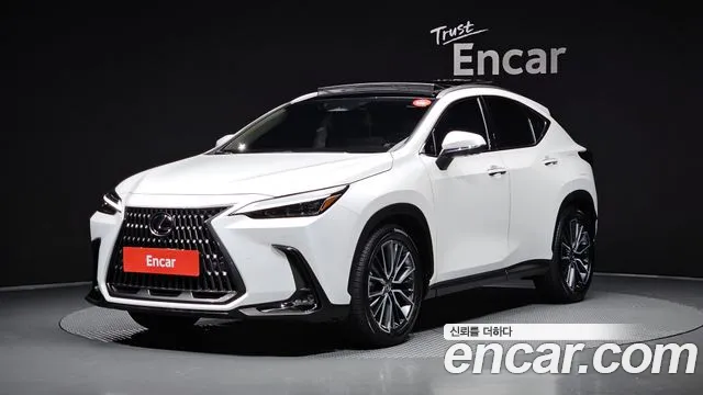 Lexus NX350h 2