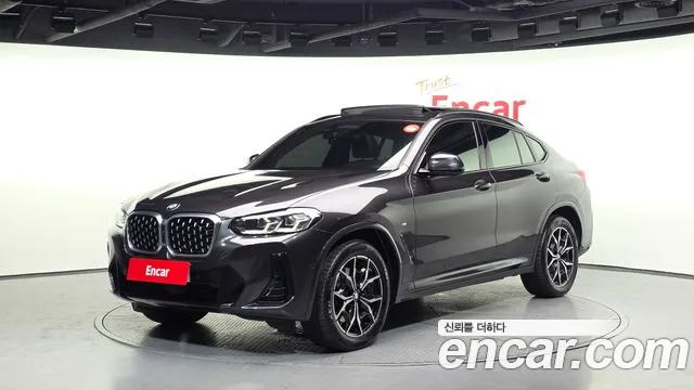 BMW X4 (G02) xDrive20i M