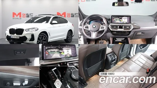 BMW X4 (G02) xDrive20i M