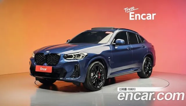 BMW X4 (G02) xDrive20i M