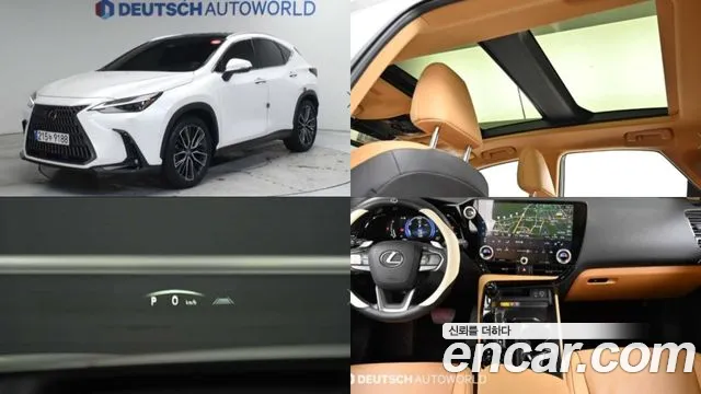 Lexus NX350h 2